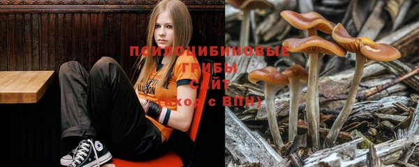 прущая мука Заволжск