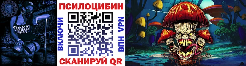 Купить где  Звенигово  Псилоцибиновые грибы Cubensis 