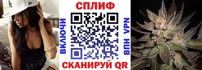 Купить закладки  Звенигово  Каннабис индика 